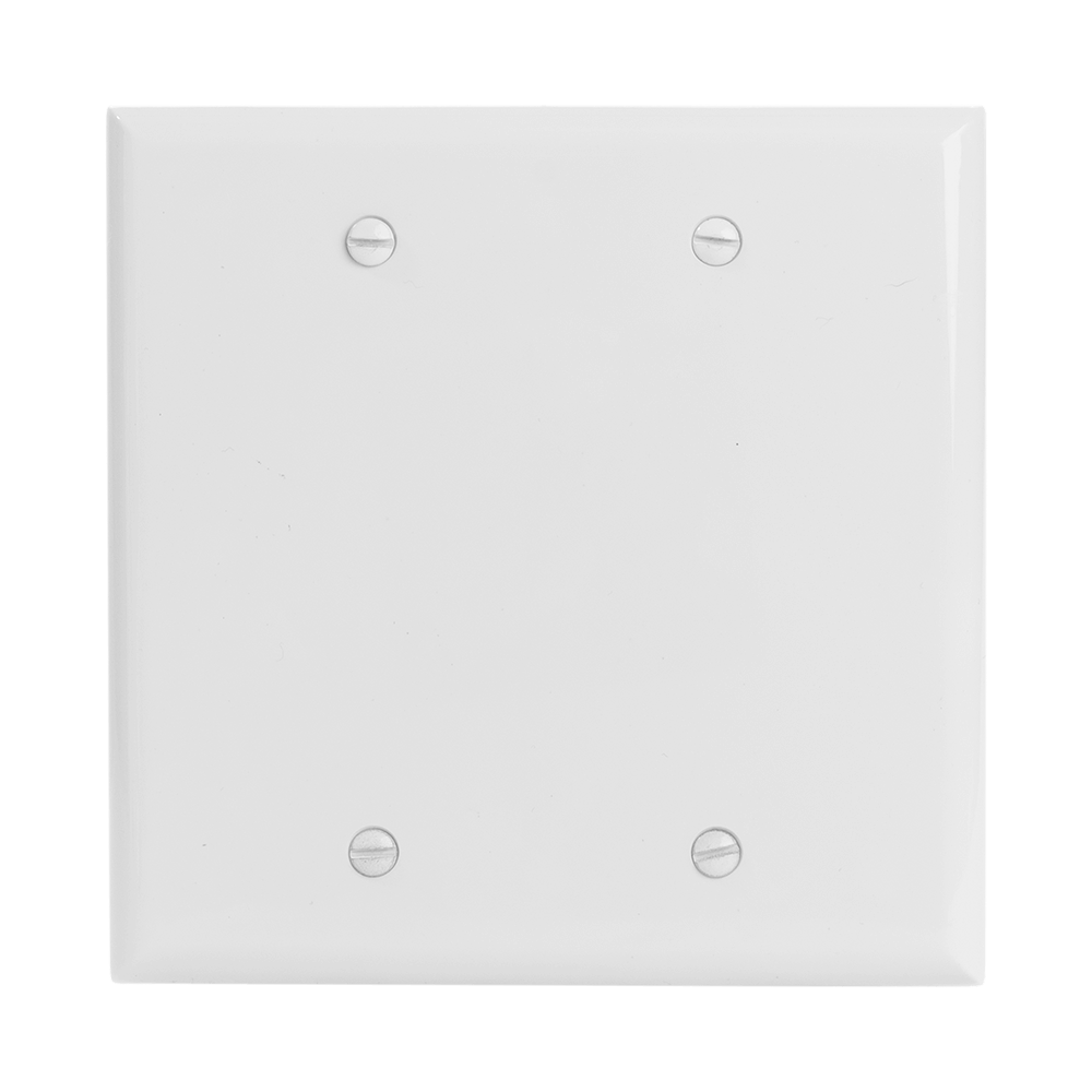2-Gang Blank Wall Plate, Standard Size, Polycarbonate Thermoplastic