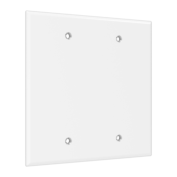 2-Gang Blank Wall Plate, Standard Size, Polycarbonate Thermoplastic