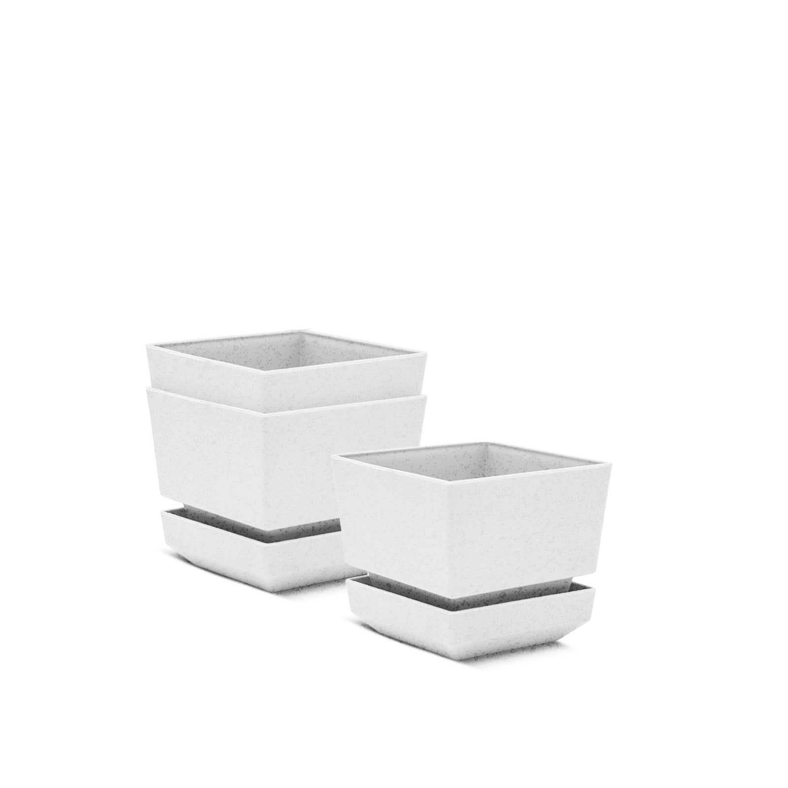 Square Pot 4" L12