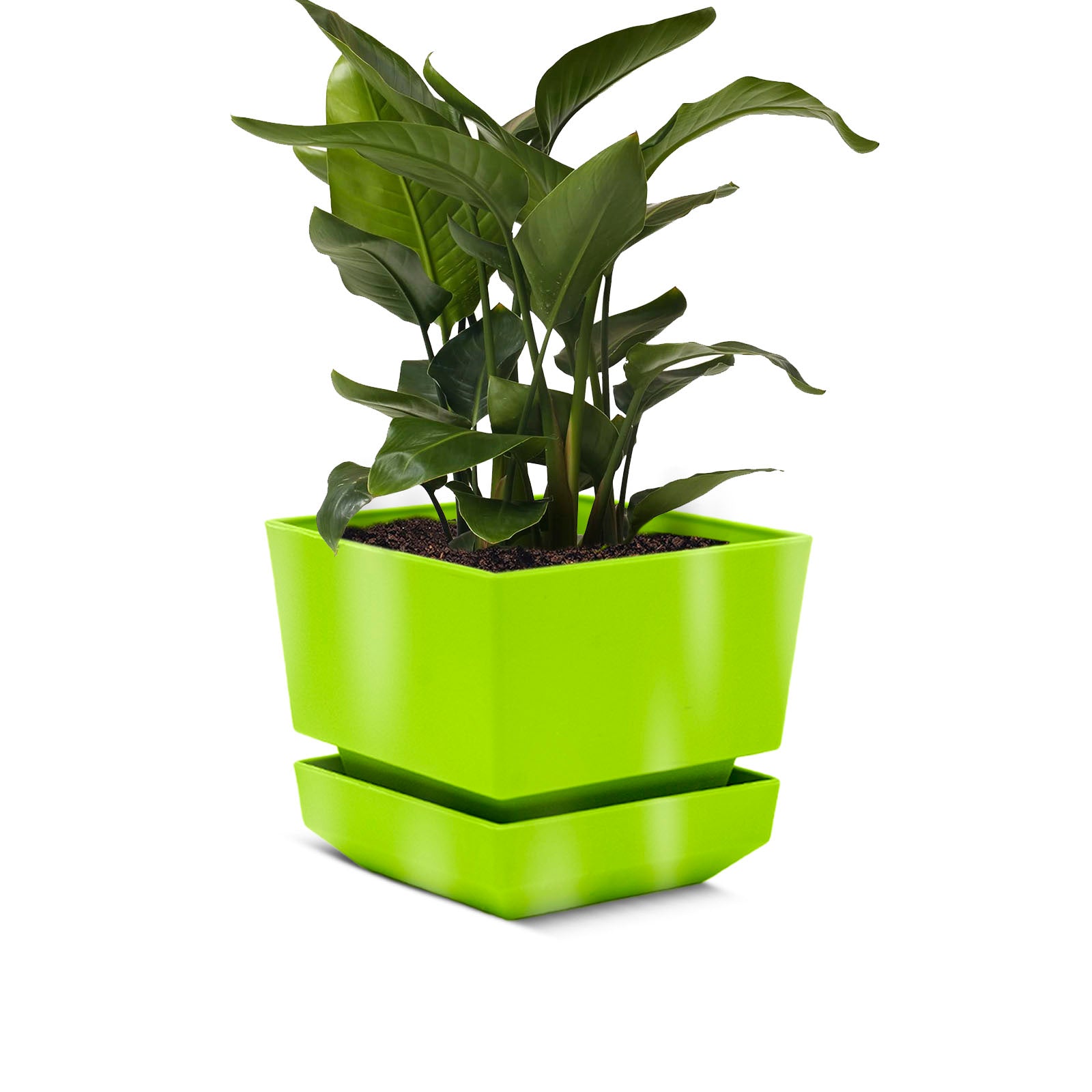 Square Pot 6" L18  Smooth Finish - Artistic Line