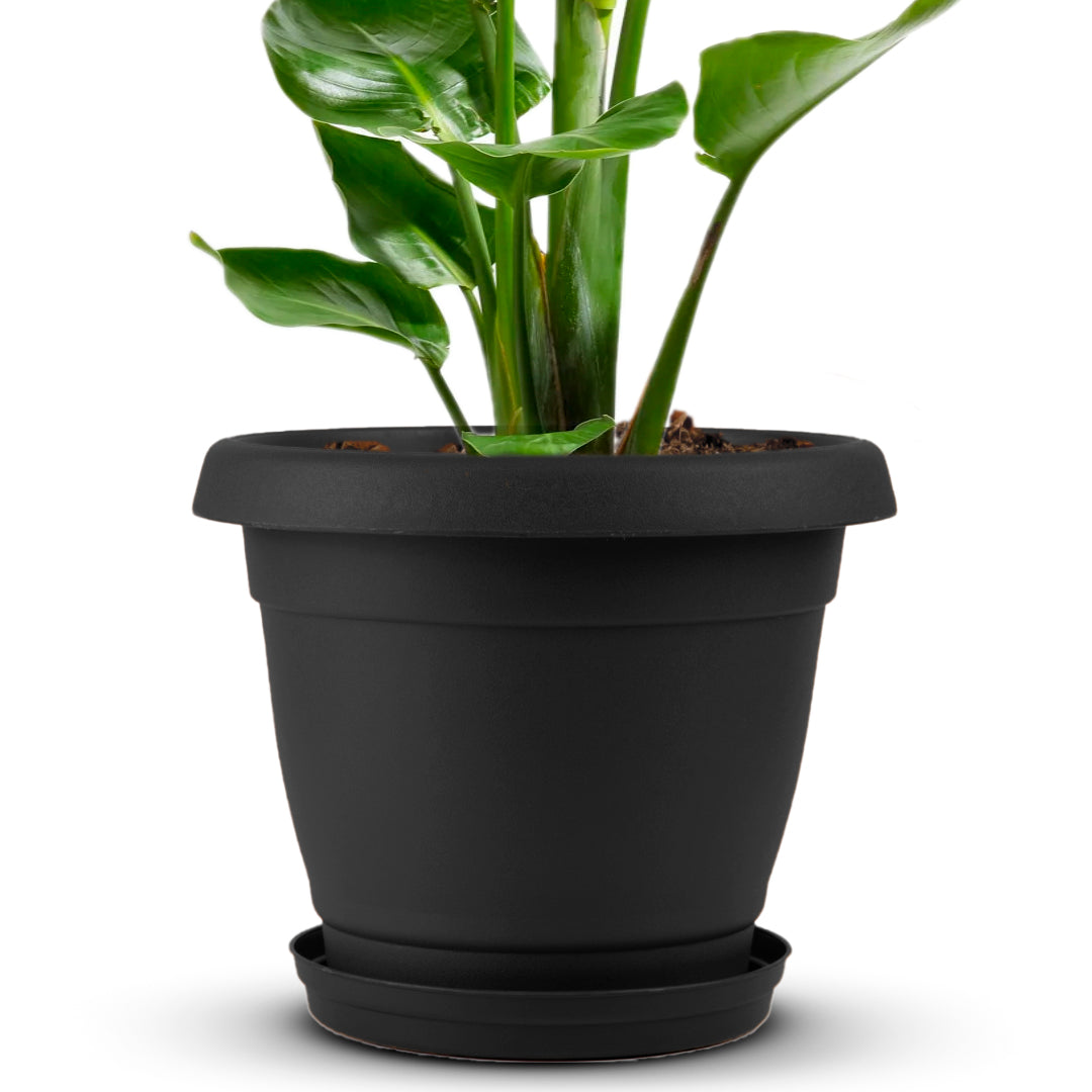 15 indoor planter Planter 15"