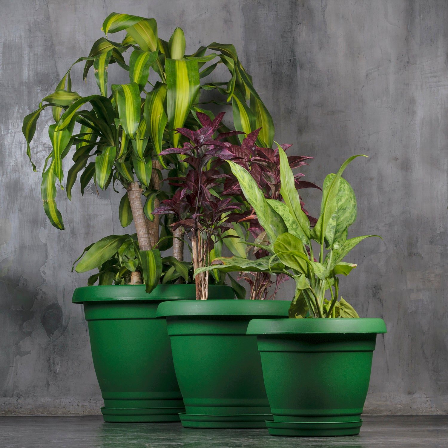 large green indoor plant pot Planter 19"