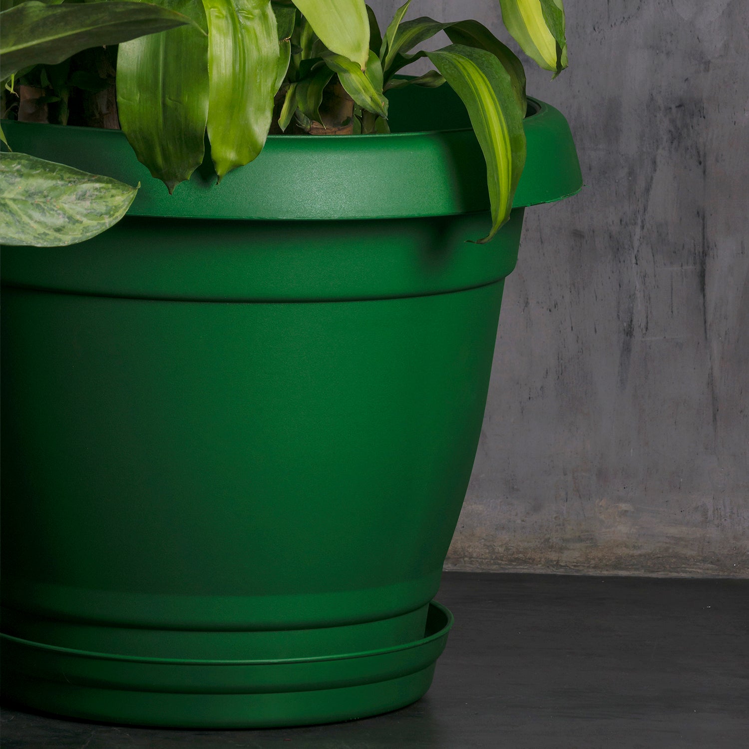 dark green plant pot indoor Planter 19"