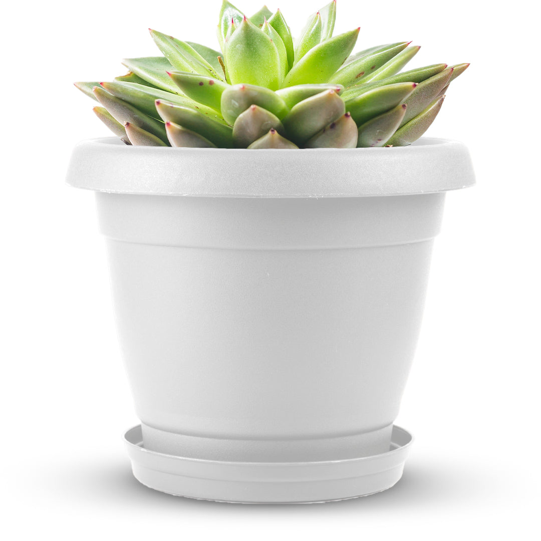 white planter pot Planter 8"