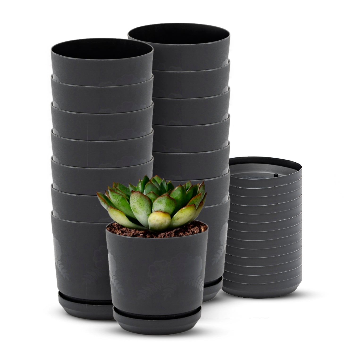 Cylindrical Pot 4" Floral  - Artistic Line