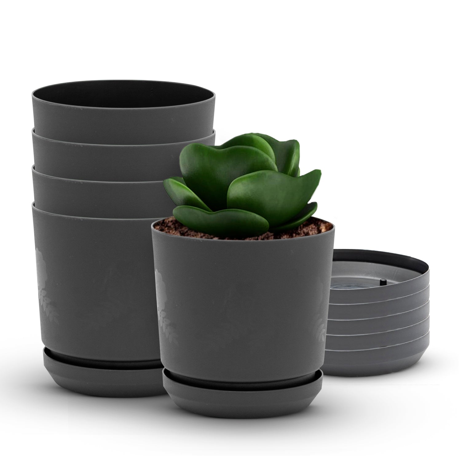 Cylindrical Pot 8" Floral  - Artistic Line