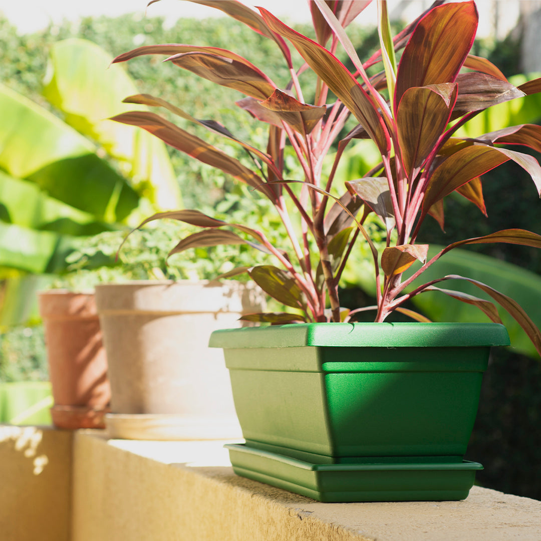 Rectangular Flower Pot  20" D52 Green - Classic Line.