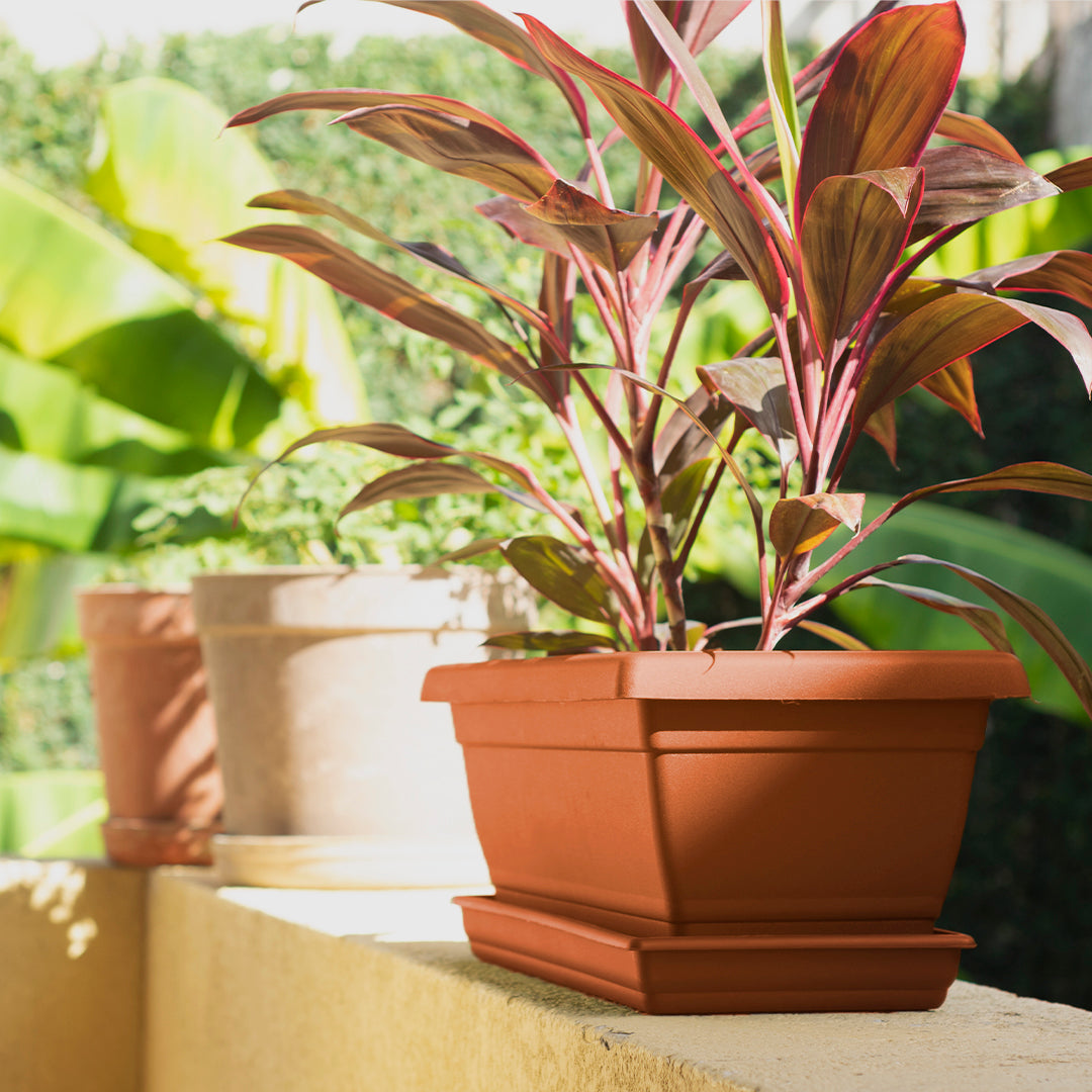 Rectangular Flower Pot  20" D52 Terracota - Classic Line.