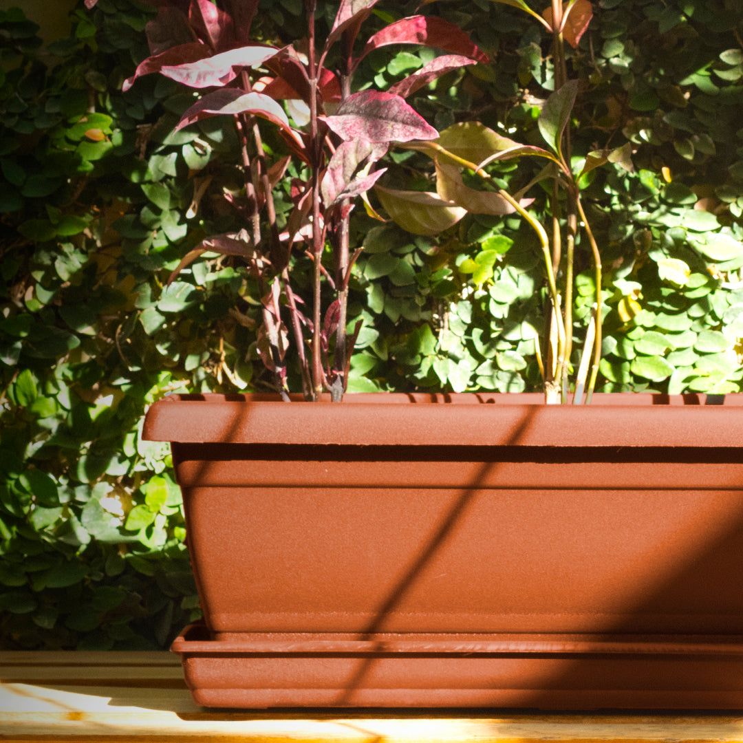 Rectangular Flower Pot  20" D52 Terracota - Classic Line.